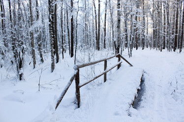 Similar image 740773