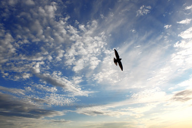 Similar image 740784