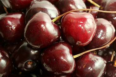 Similar image 740803