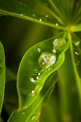 Similar image 740817