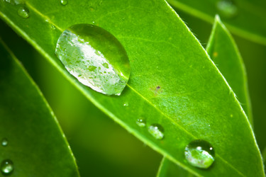 Similar image 740821