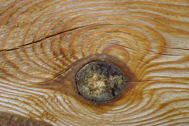 Similar image 740840