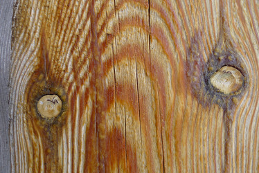 Similar image 740841