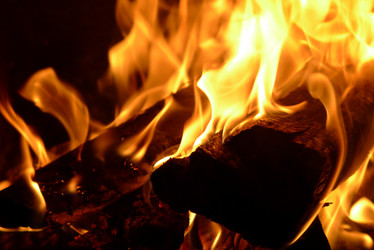 Similar image 740842