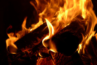 Similar image 740845