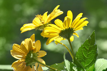 Similar image 740864