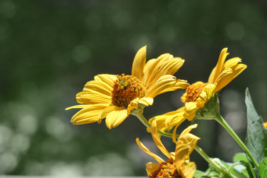 Similar image 740865