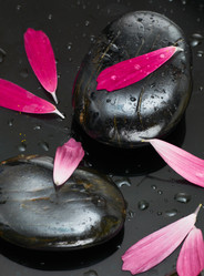 Similar image 740869