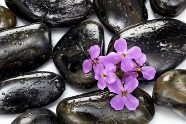 Similar image 740870