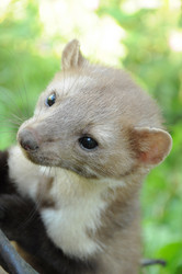 Similar image 740877