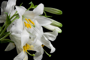 Similar image 740880