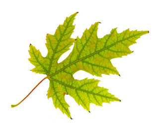 Similar image 740887