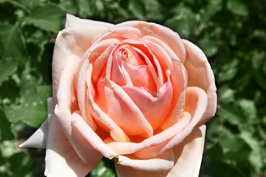 Similar image 740894