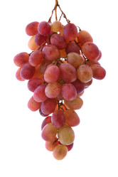 Similar image 740902