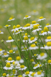 Similar image 740904