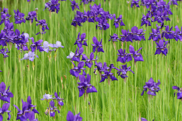 Similar image 740905