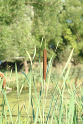 Similar image 740990