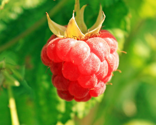 Similar image 741004