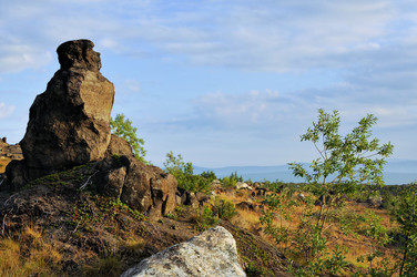 Similar image 741038