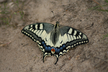 Similar image 741117