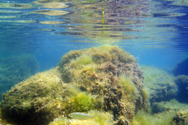 Similar image 741119