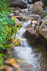 Similar image 741134