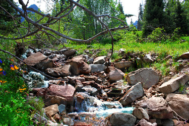 Similar image 741135