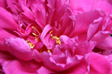 Similar image 741143