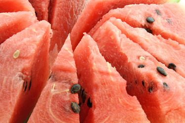 Similar image 741144