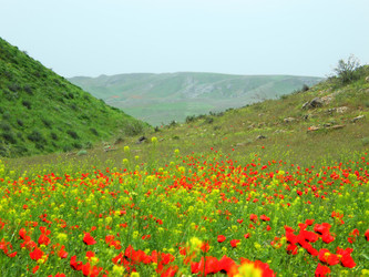 Similar image 741145