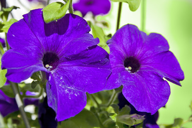 Similar image 741150