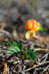 Similar image 741168