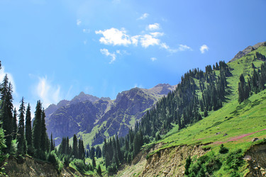 Similar image 741170