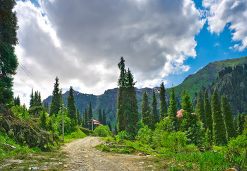 Similar image 741173