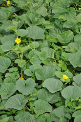 Similar image 741174