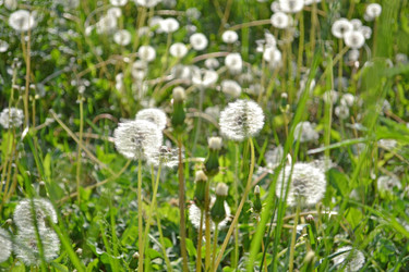 Similar image 741180