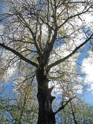 Similar image 741181