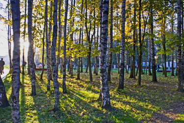 Similar image 741184