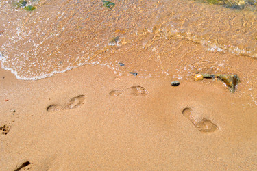 Similar image 741209