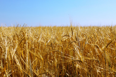 Similar image 741265