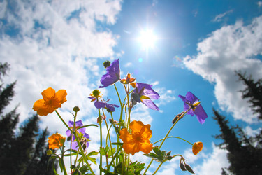 Similar image 741433