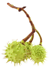 Similar image 741472