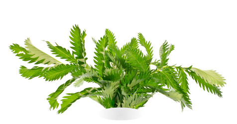 Similar image 741474