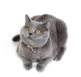 Similar image 741503