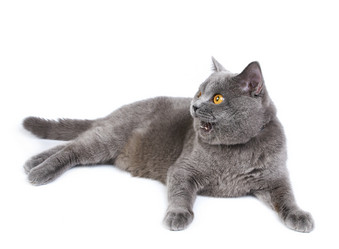 Similar image 741508