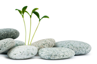 Similar image 741513