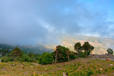 Similar image 741699