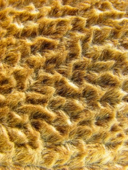 Similar image 741701