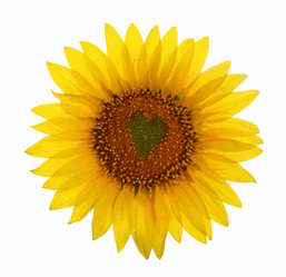 Similar image 741728