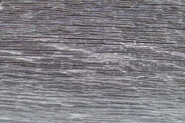 Similar image 741799